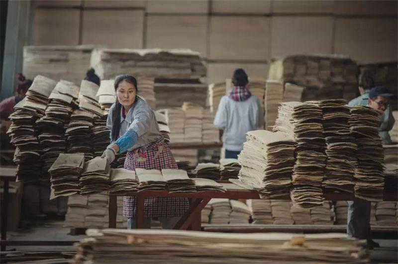 J9.COM之造——J9.COM22周年出格贡献品质篇