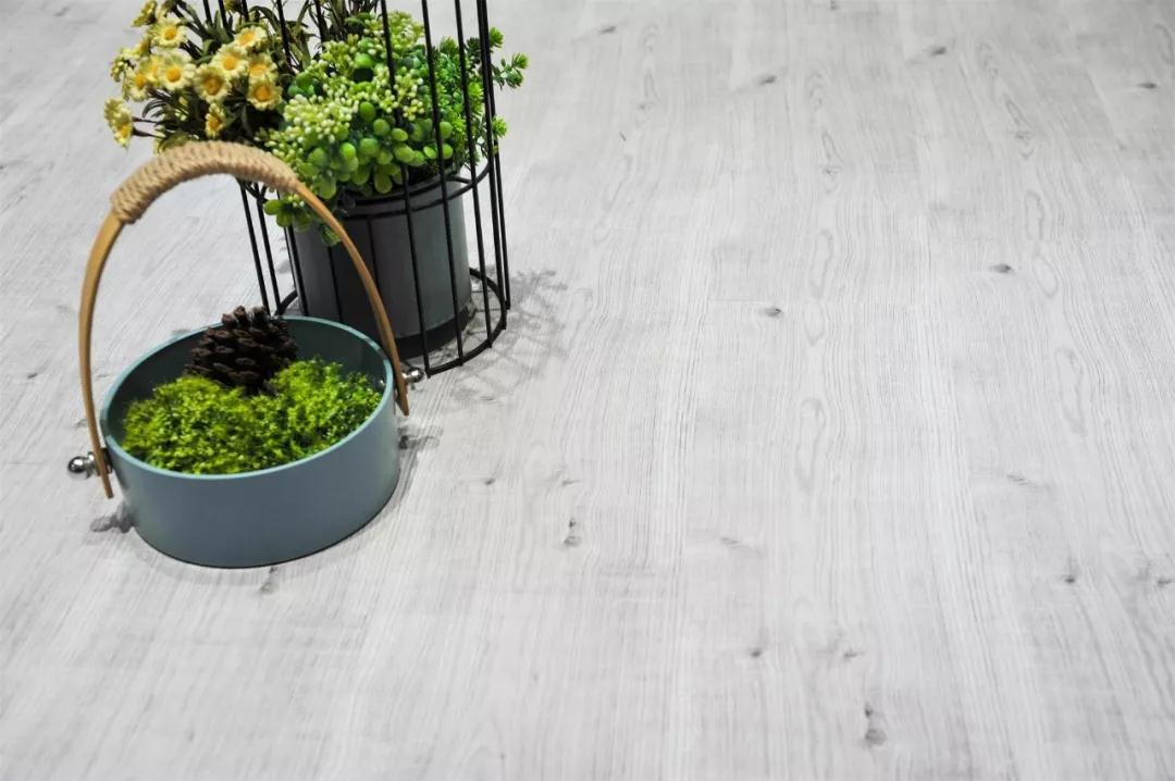 J9.COM强化地板伊丽莎白系列-5806