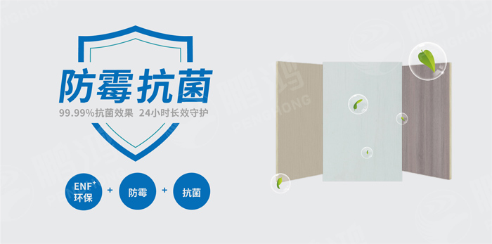 抗菌防霉木质装璜板行业尺度钻研工作会圆满召开