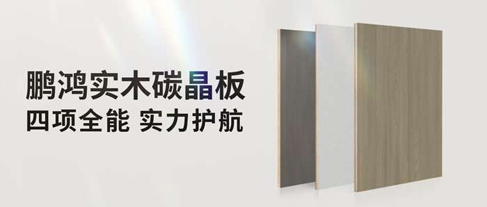 四项全能碳晶板，解锁家装超能力